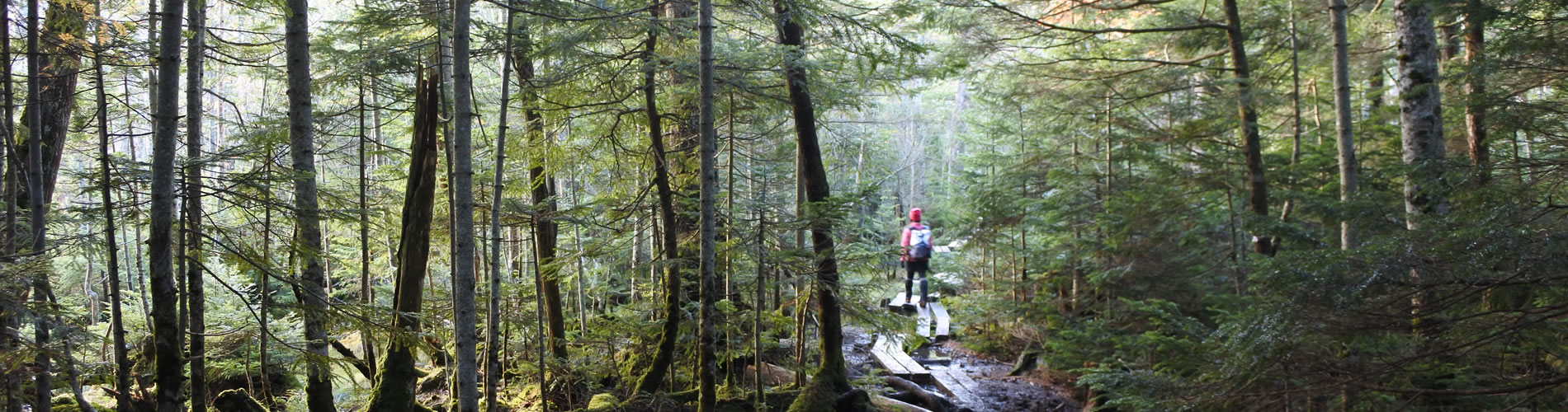 ULバックパック