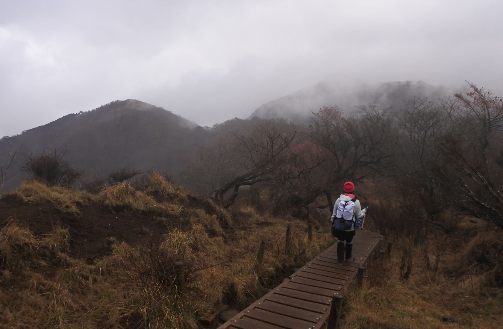 ホワイトザック